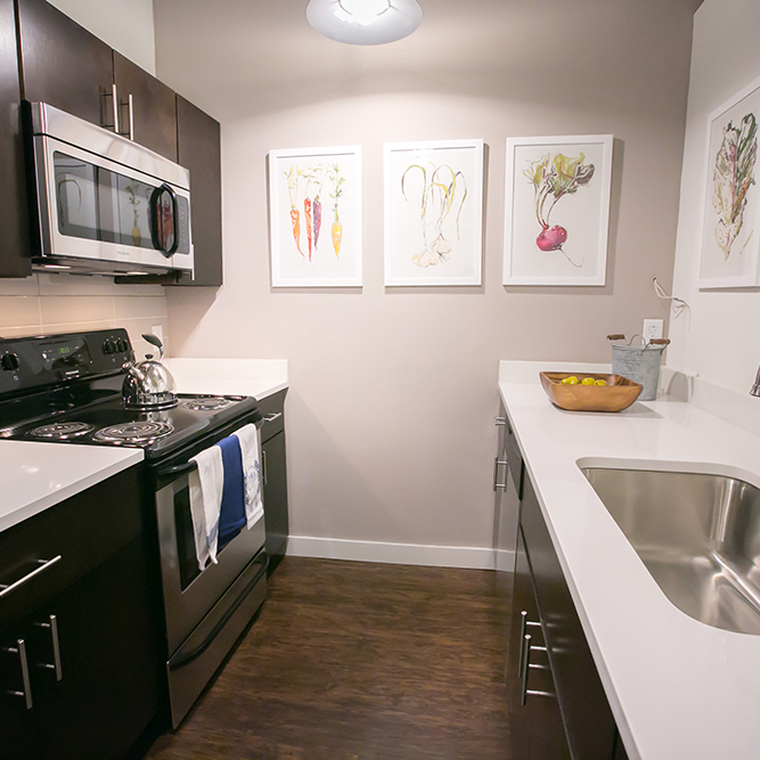 Kitchen with modern appliances